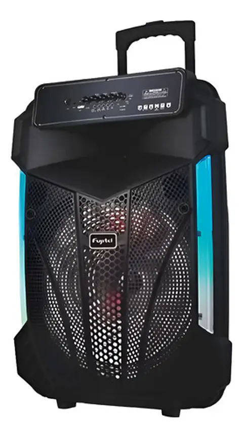 Parlante Karaoke De 15'' Rgb Recargable + Micrófono Inalámbrico Color Negro