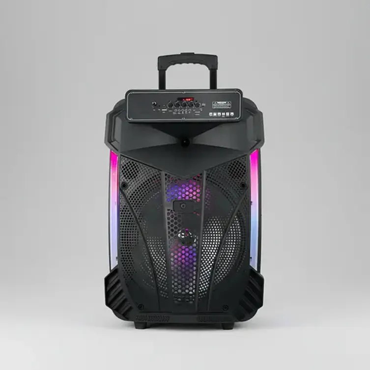 Parlante Karaoke De 15'' Rgb Recargable + Micrófono Inalámbrico Color Negro 2