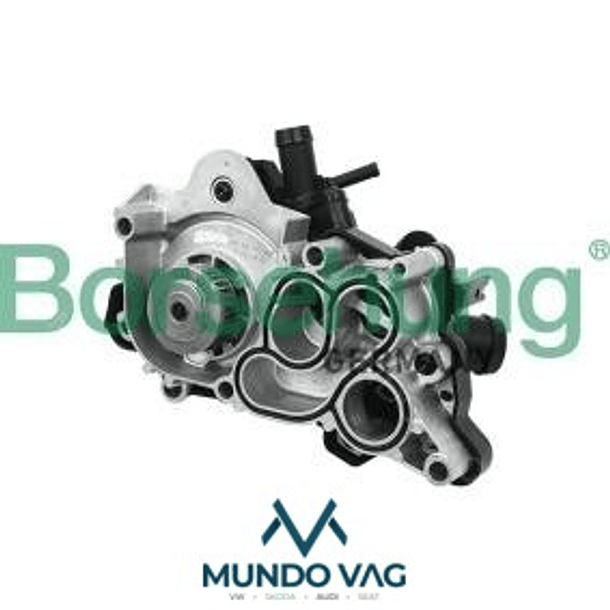 BOMBA DE AGUA CON TERMOESTATO - BORSEHUNG 1