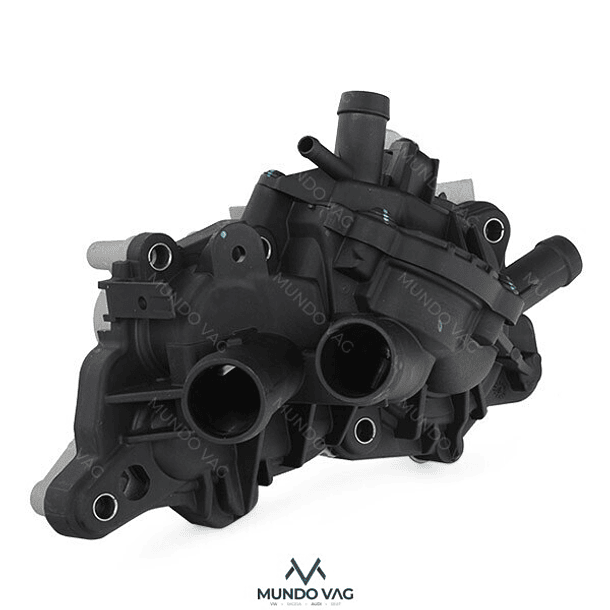 BOMBA DE AGUA CON TERMOESTATO - BORSEHUNG 2