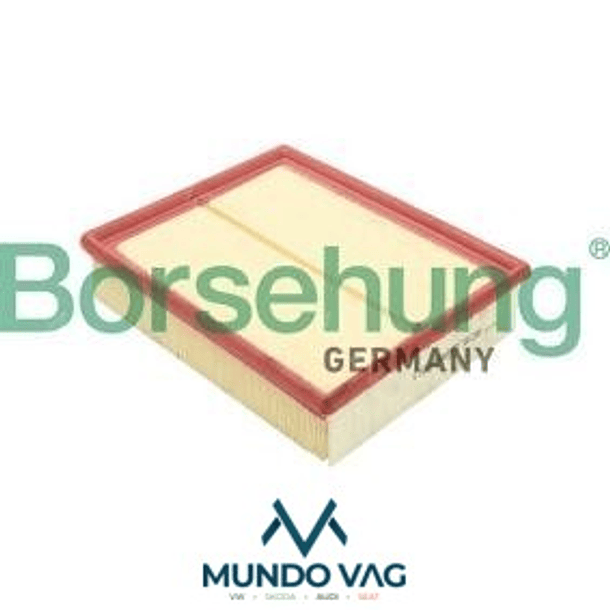 FILTRO AIRE - BORSEHUNG 1
