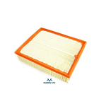 FILTRO AIRE - BORSEHUNG 2