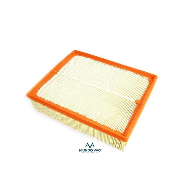 FILTRO AIRE - BORSEHUNG 2