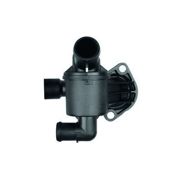 TERMOESTATO - MAHLE C 1