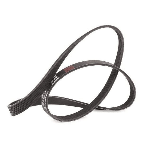 CORREA POLY  PK-1155 - MITSUBOSHI 2