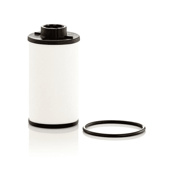 FILTRO CAJA   DQ250 DGS6 - MANN FILTER 3