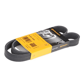 CORREA POLY  6PK-1005 - CONTINENTAL