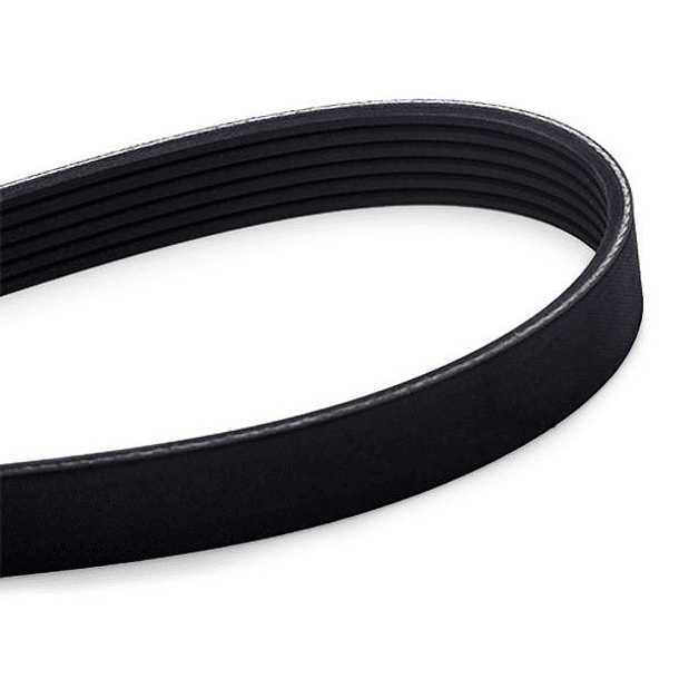 CORREA POLY  6PK-1885 - MITSUBOSHI 3