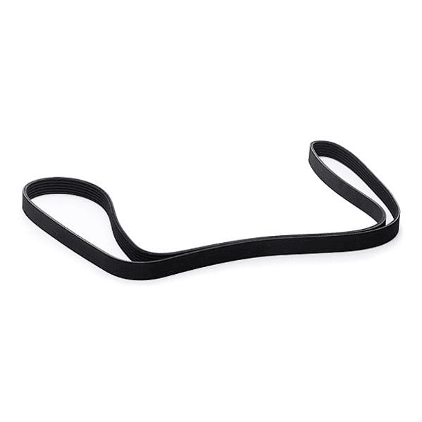 CORREA POLY  6PK-1885 - MITSUBOSHI 4