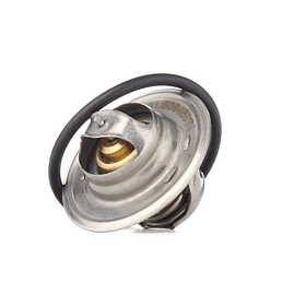 TERMOESTATO   BSE - ALTERNATIVO