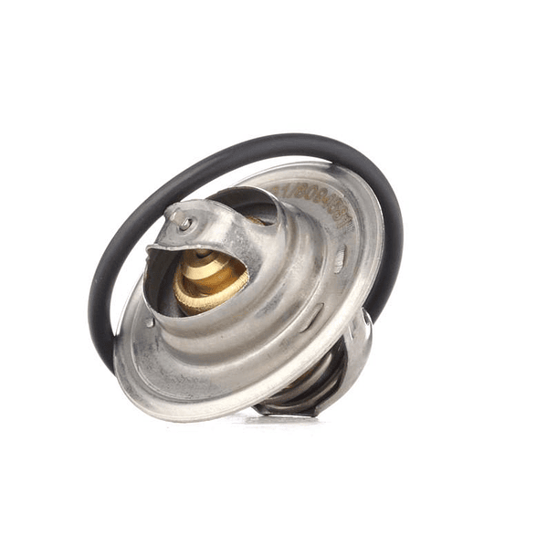 TERMOESTATO   BSE - ALTERNATIVO 1