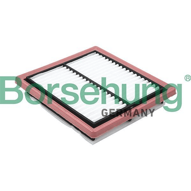 FILTRO AIRE - BORSEHUNG