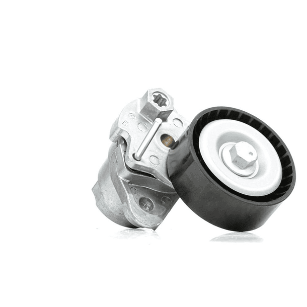 RODAMIENTO TENSOR   CZDA- CZDB - INA 1