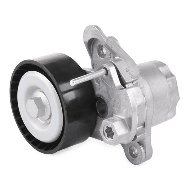 RODAMIENTO TENSOR   CZDA- CZDB - INA 2