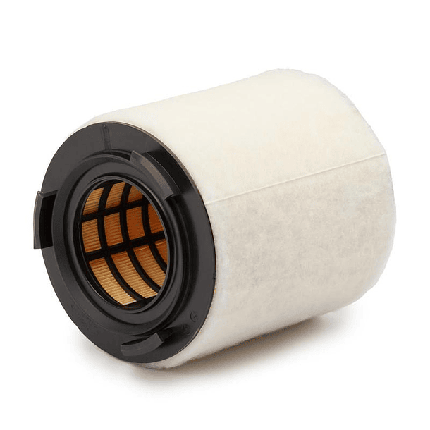 FILTRO AIRE - MANN FILTER 1