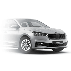 PAINT TOUCH-UP   PLATA BRILLANTE