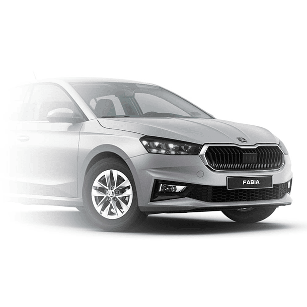 PAINT TOUCH-UP   PLATA BRILLANTE 1