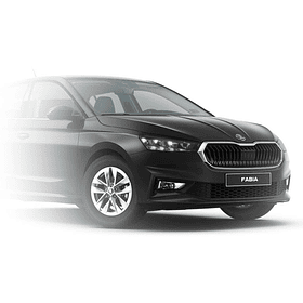 PAINT TOUCH-UP   MAGIC BLACK METALLIC