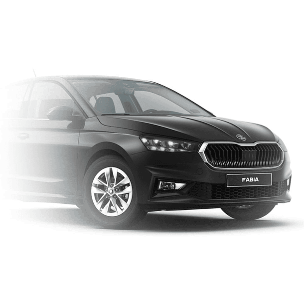 PAINT TOUCH-UP   MAGIC BLACK METALLIC 1