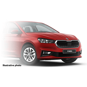 PAINT TOUCH-UP   CORRIDA RED