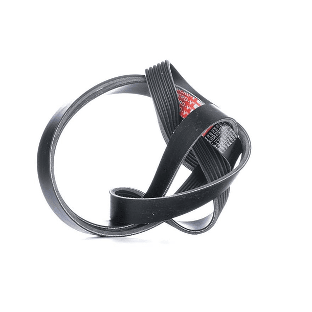 CORREA POLY  6PK-1555 - CORREA POLY  6PK-1555 3