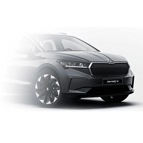 PAINT TOUCH-UP   GREY-METALLIC