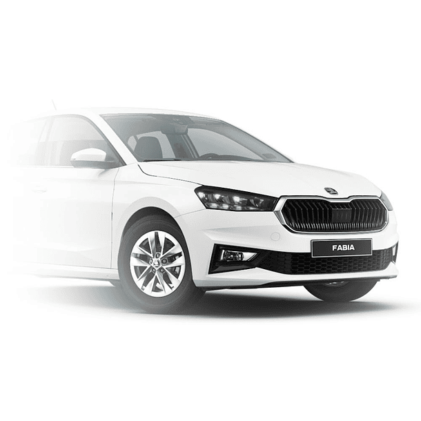 PAINT TOUCH-UP   BLANCO CANDY 1