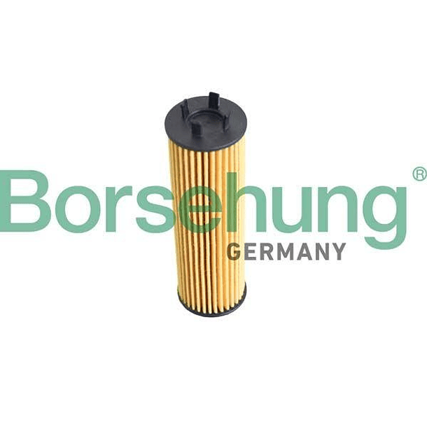 FILTRO ACEITE - BORSEHUNG 1