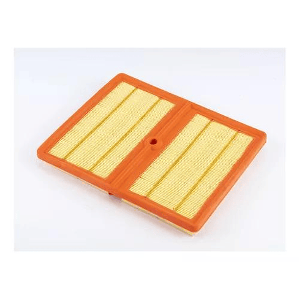 FILTRO AIRE - BORSEHUNG 1