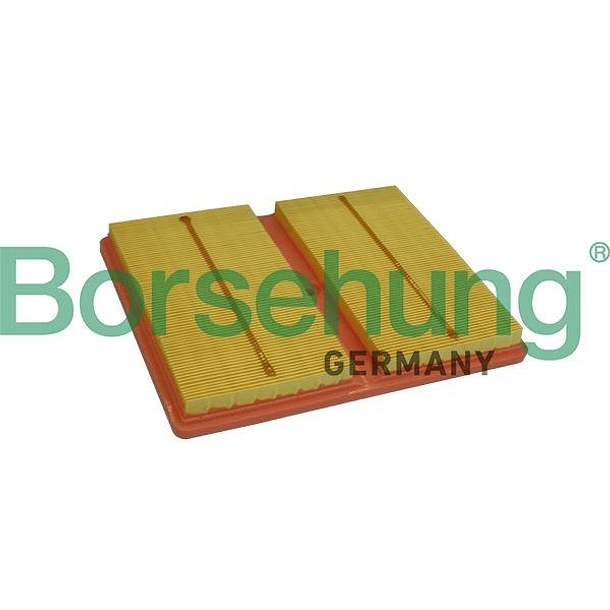 FILTRO AIRE - BORSEHUNG 2