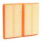 FILTRO AIRE - TROPAN 2