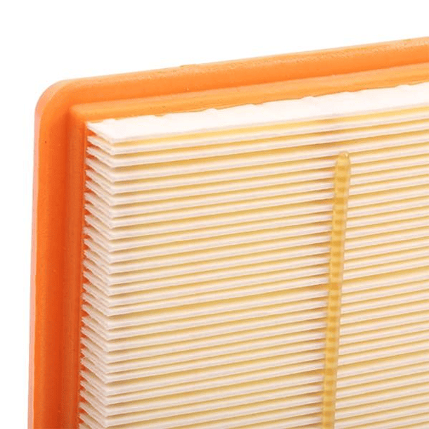 FILTRO AIRE - TROPAN 4