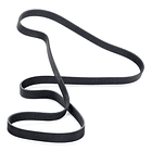 CORREA POLY  6PK-1736 - GATES 2