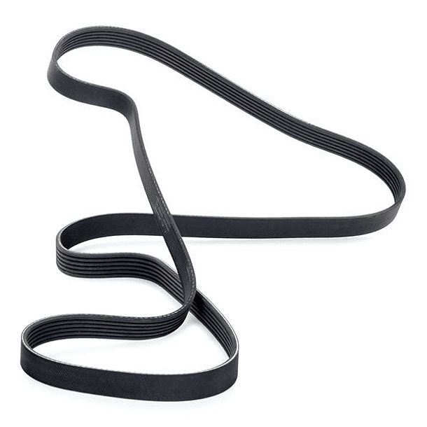 CORREA POLY  6PK-1736 - GATES 2