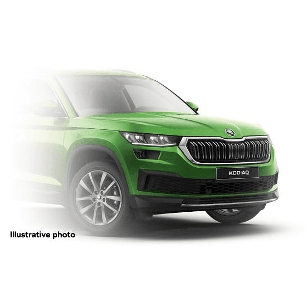 PAINT TOUCH-UP   RALLYE GREEN METALLIC 1