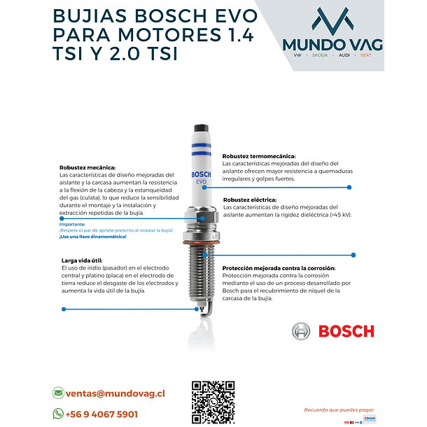BUJIA ENCENDIDO PLATINO IRIDO EVO 1.0 1.4 TSI 2