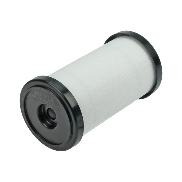 FILTRO CAJA   DQ250 DGS6 - MEYLE 2