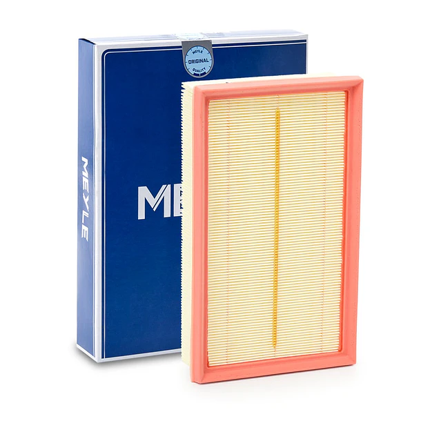 FILTRO AIRE - MEYLE 1