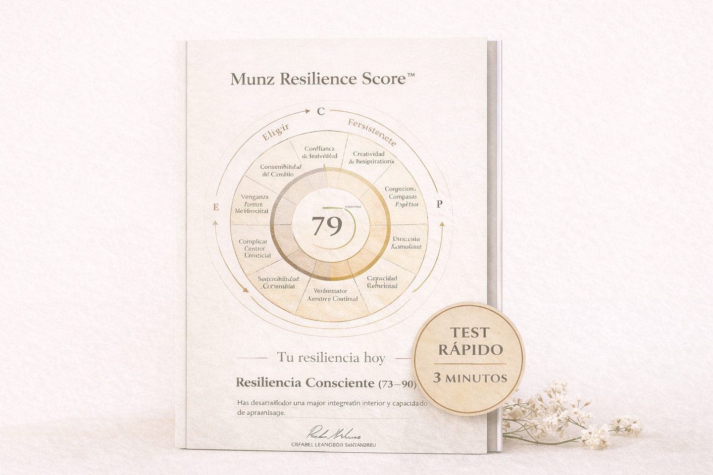 Munz Resilience Score TM  1