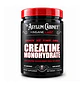 CREATINA MONOHIDRATADA MICRONIZADA 500GR INSANE LABZ - Miniatura 1