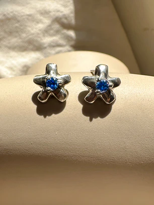 🌸 Aretes Frutti Bloom