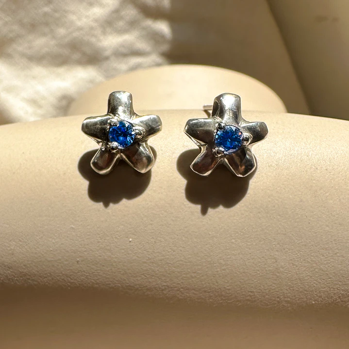 🌸 Aretes Frutti Bloom 1
