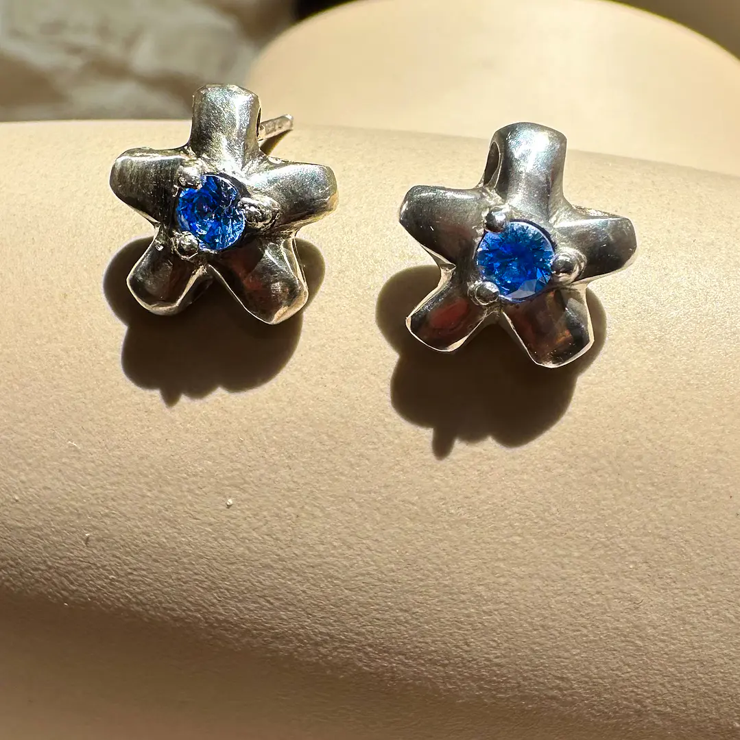 🌸 Aretes Frutti Bloom 2