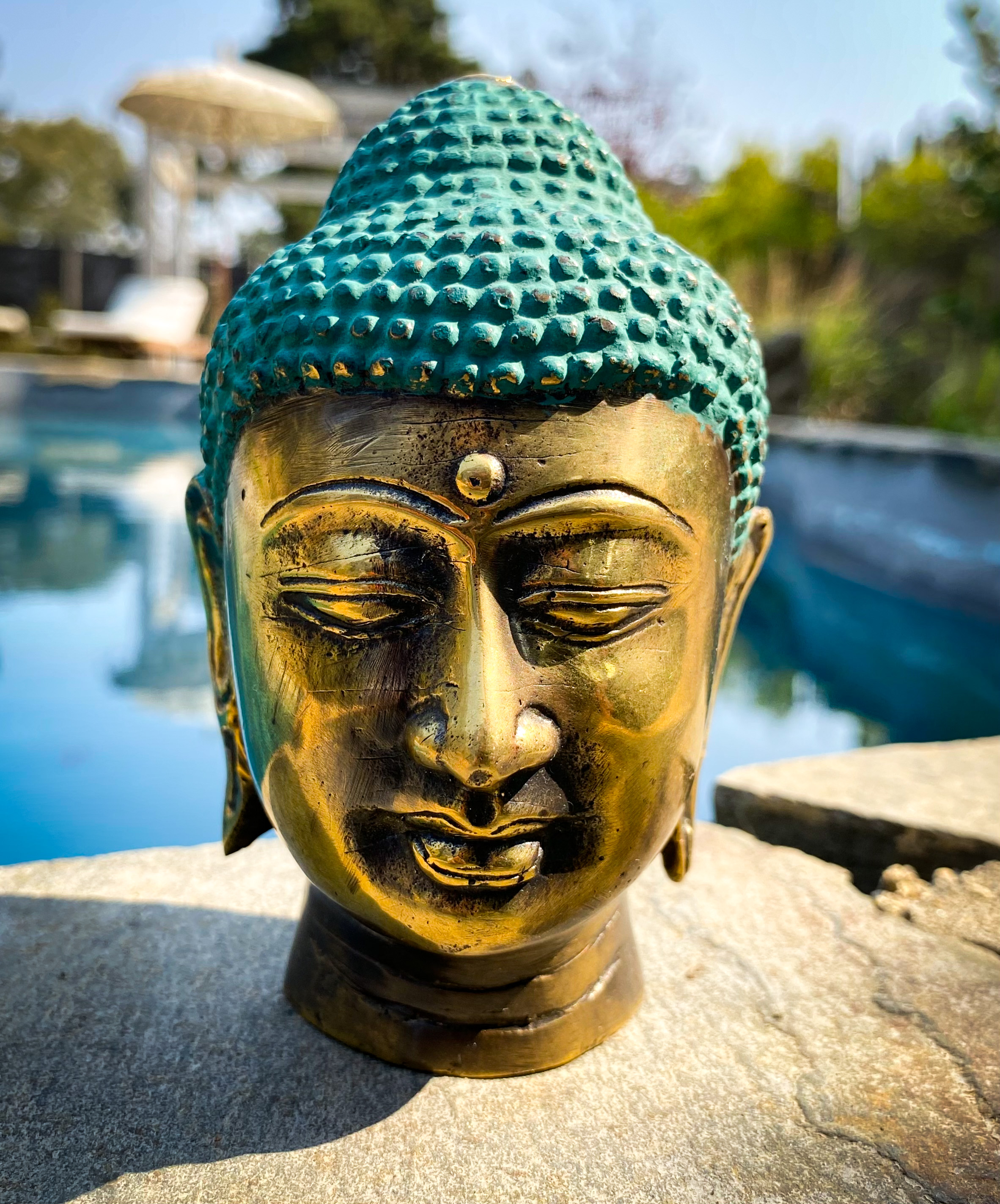 Buda Small Head