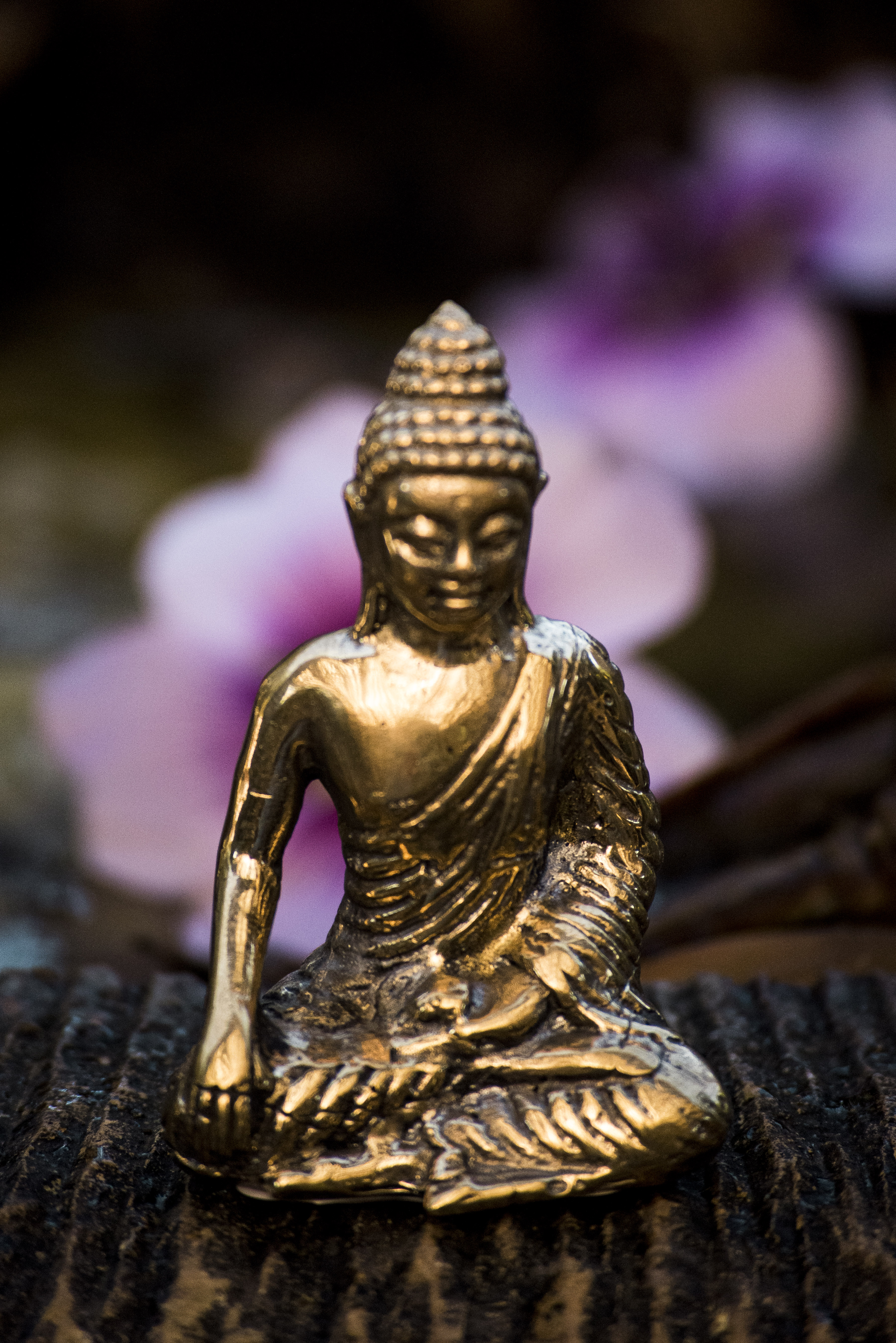 Buda Meditación Bronce