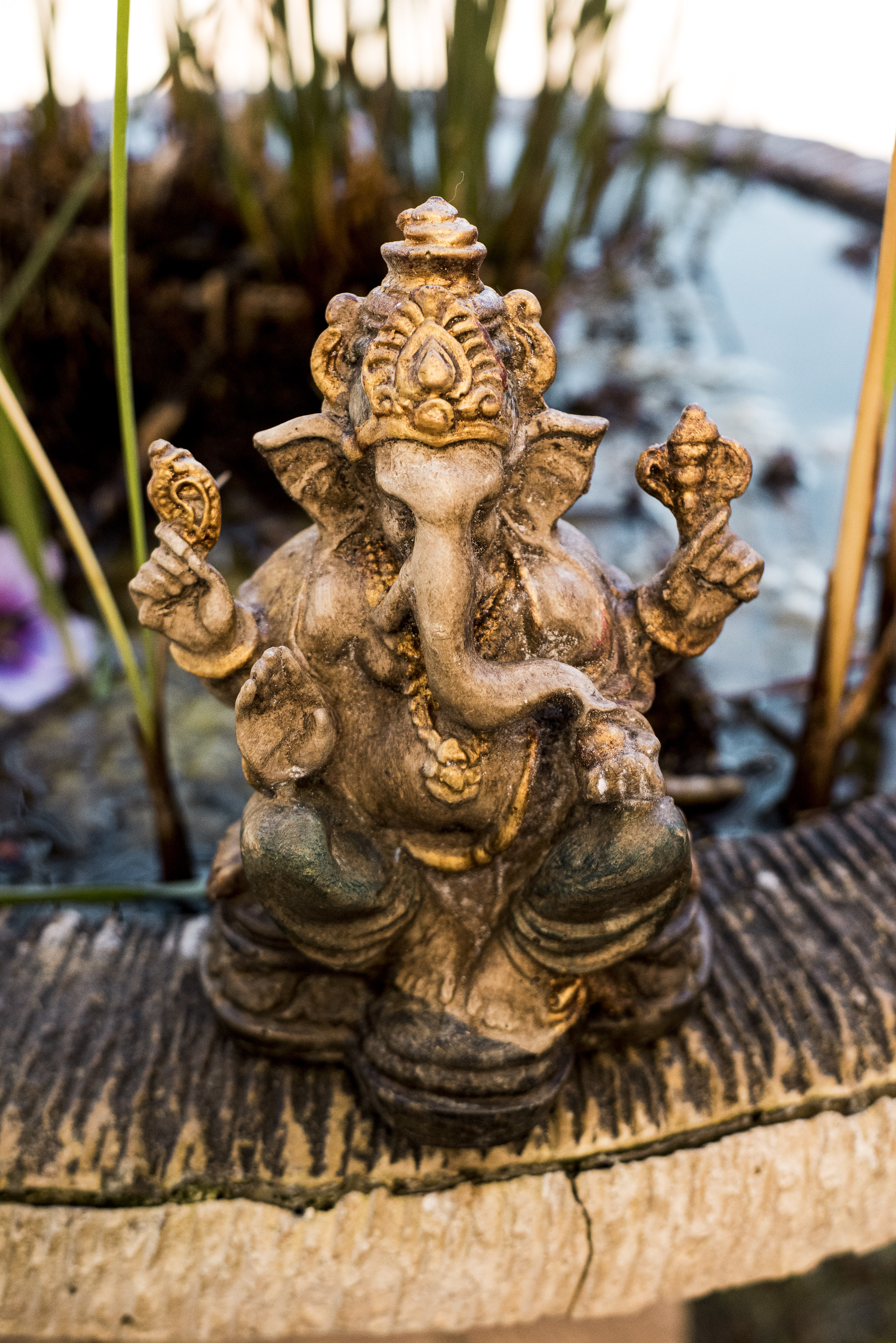 Ganesha Resina