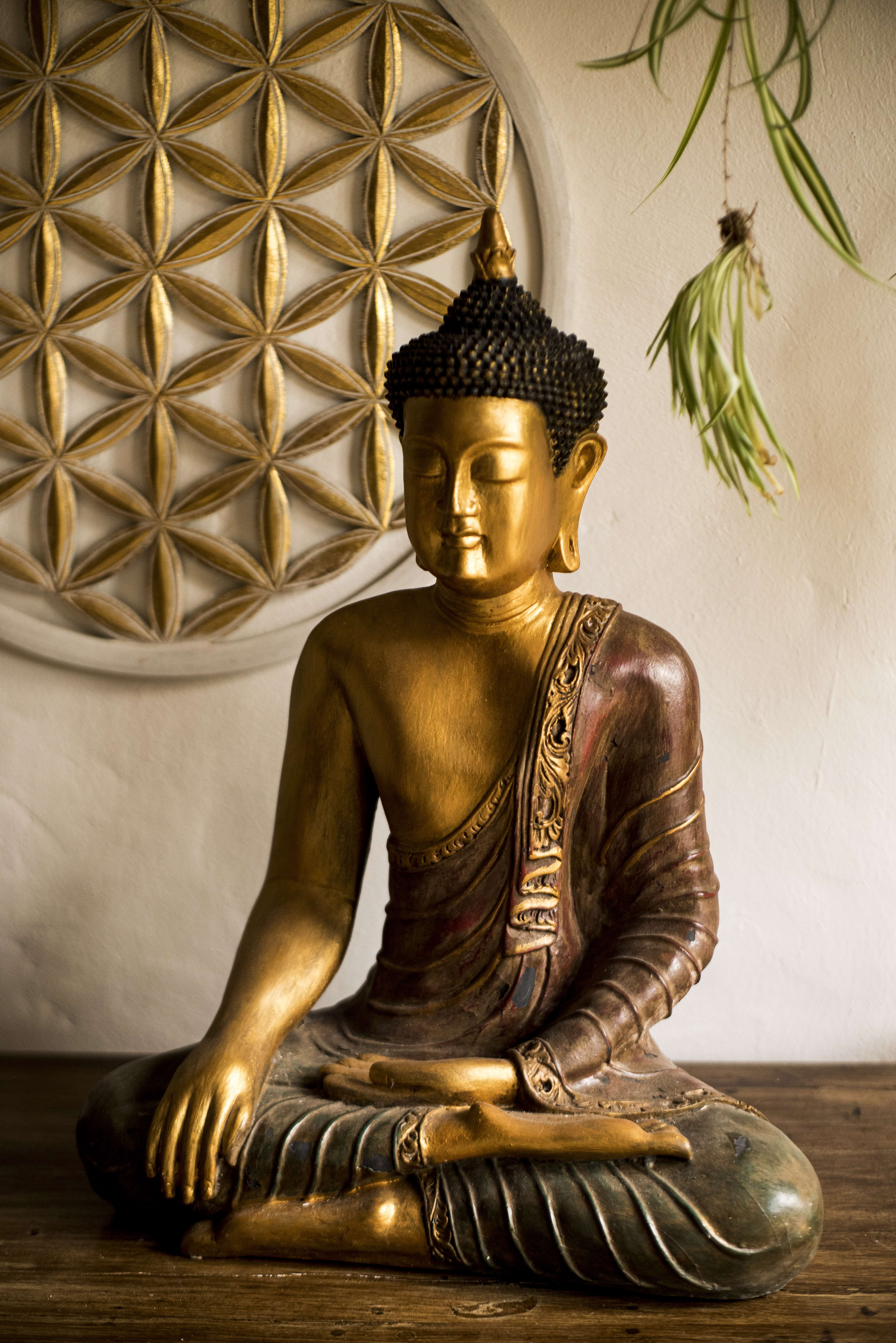 Buda resina meditasi