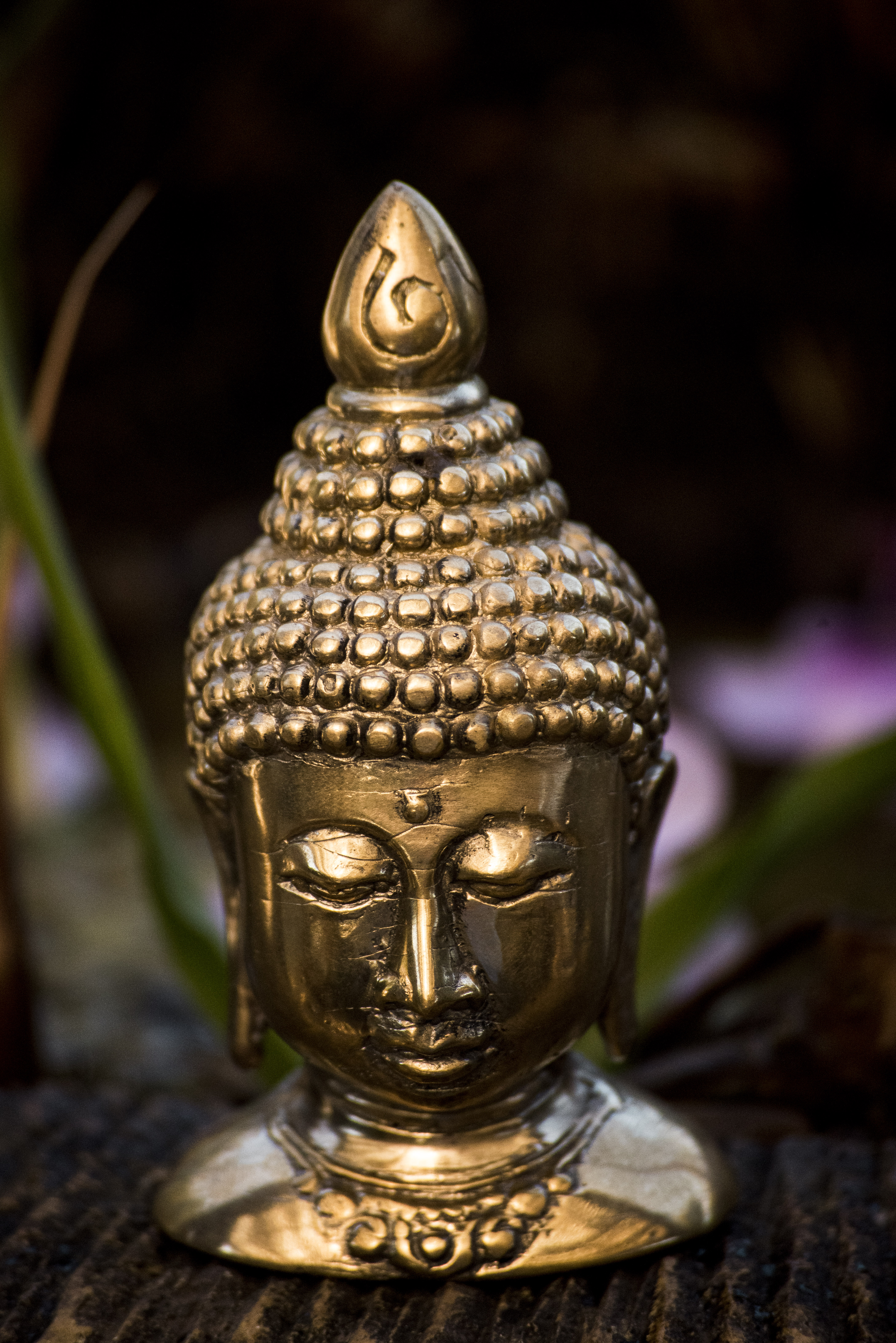 Buda Head Bronce