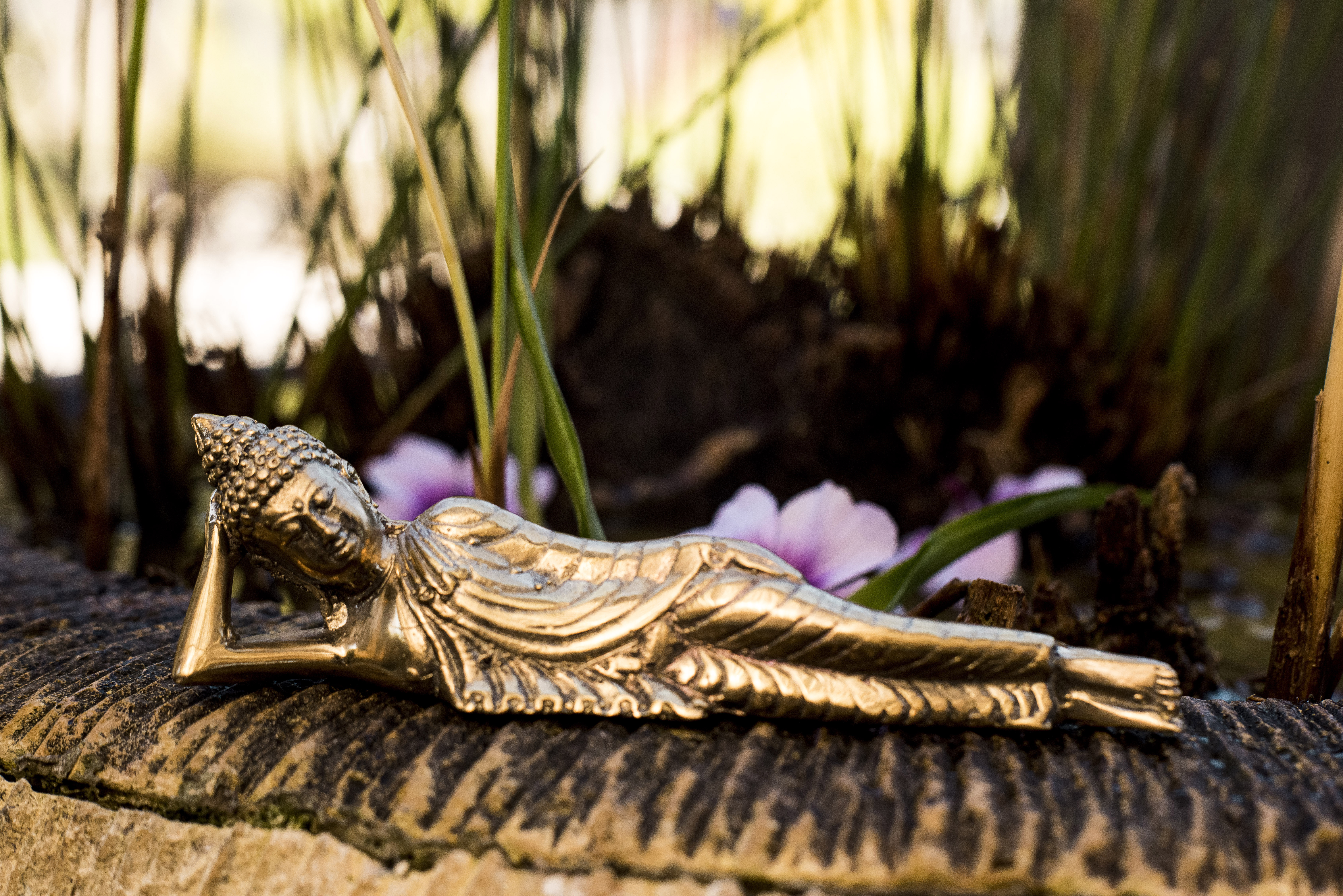 Buda Sleeping bronce