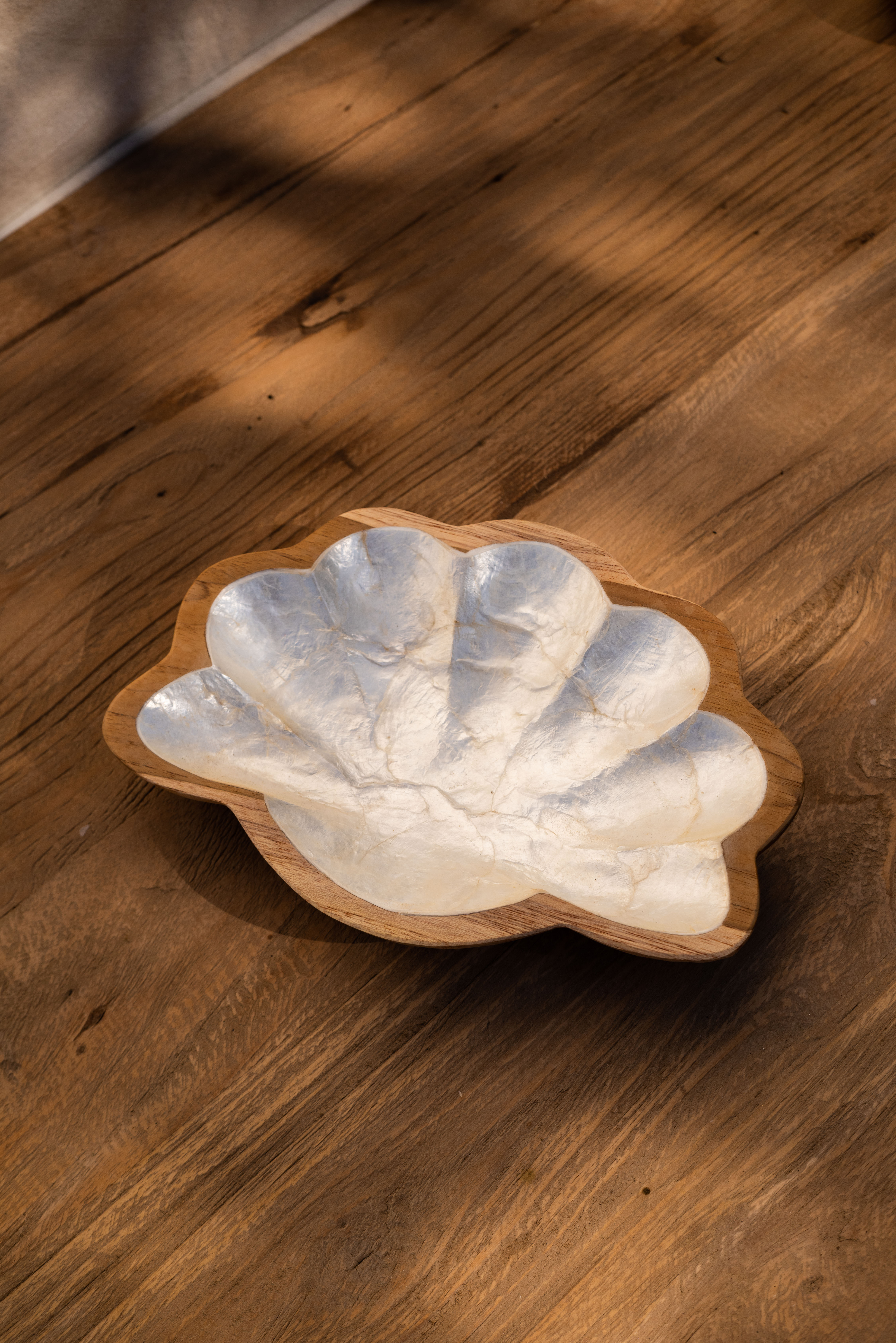 Fuente Nacar Shell